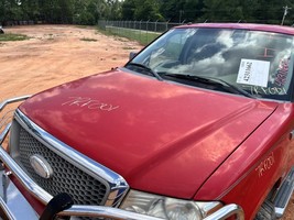 Hood Fits 04-08 FORD F150 PICKUP 104856311 - $3,031.14 MXN