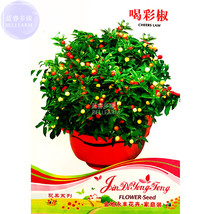 New Fresh Bonsai Pearl Pepper Chile Vegetables Seeds 25 Seeds Pack Ornamental In - $3.72