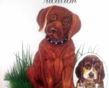 The Doggonest Vacation by Richard Lynn Stack, Illus. by Shery Lynn Mowrer - $3.41