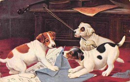 Puppy Dogs Lovers of Music Sheets Violin Tuck 1907 postcard - £5.91 GBP