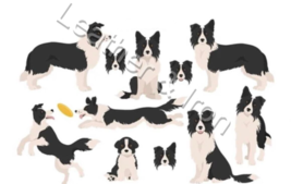 New Border Collie Dog Design Vinyl Checkbook Cover Dogs Border Collie - £6.99 GBP