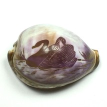 Carved Cowrie Sea Shell - Swans on Lake Scene - 3&quot; X 2&quot; - Lavender Brown... - $18.00