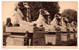 Avenue of Sphinxes Karnak Egypt Postcard - £7.08 GBP