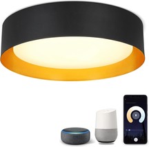 Depuley 30W Smart Wifi Led Flush Mount Ceiling Light, App Remote, Kitchen - £70.57 GBP