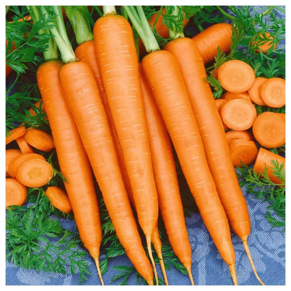Tendersweet Carrot Seeds, Beta Carotene, Vitamin A, NON-GMO, Quantity 50... - $10.29