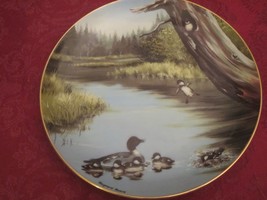 Maynard Reece Duck Collector Plate The Swimming Lesson Water Birds - £7.99 GBP