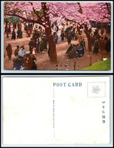 JAPAN Postcard - Pink Blossoming Trees with Large Crowd Of People A9 - £2.21 GBP