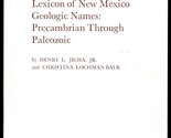 Lexicon of New Mexico Geologic Names: Precambrian Through Paleozoic - £17.49 GBP