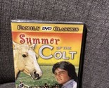 Summer of the Colt DVDs New Sealed - $9.90