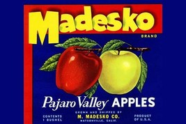 Madesko Brand Pajaro Valley Apples - Art Print - £17.68 GBP+