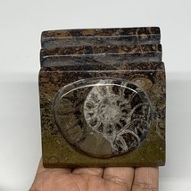 494g, 2.8&quot; x 2.9&quot; x 1.9&quot; Fossils Orthoceras Ammonite Business Card Holder,B8092 - £11.22 GBP