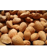 Prunus dulcis 10+ seeds Almond amygdalus communis tree semillas graines - $14.46 CAD+