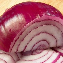 400 Red Burgundy Sweet Onion Seeds Organic Short Day Spring Fall Contain... - $2.75