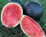 25 Black Diamond Watermelon Seeds Fast Shipping - £7.22 GBP