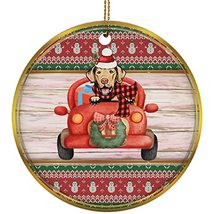 Funny Chesapeake Bay Retriever Dog Ride Car Ornament Gift Pine Tree Decor Hangin - $19.75