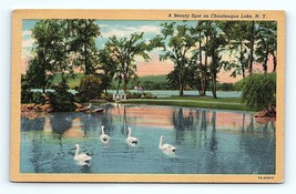 Postcard 1946 New York Beauty Spot On Chautauqua Lake, N.Y. Swans Swimming - £5.40 GBP