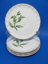 W S George B8760 Green Valley Bolero Orange Blossom Set Of 4 Saucers REA... - £7.18 GBP