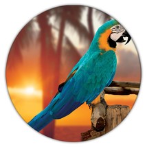 Macaw Sunset Tropical : Gift Coaster Parrot Bird Animal Cute - £3.94 GBP