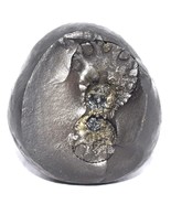 Sacred Adwaitya Golden ChinnaMasta Dasha MahaVidya Shaligram - Gandaki R... - $148.50