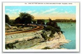 Drive Along Maumee River Toledo Ohio OH UNP Unused WB Postcard H22 - £2.29 GBP