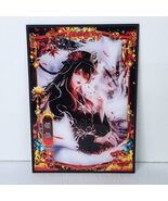 Hu Tao Wolf Chinese Art Style Oversized Waifu Girl Card A4 Acrylic 11&quot; x 8&quot; - $24.74