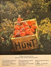 Hunts Tomato Catsup Garden fresh from the garden 1964 Vintage Print Ad - $10.52