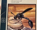 Insects Media materials Full Color Drawings Study Cards And Teacher Guid... - $19.79