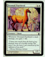 Dromad Purebred - Ravnica: City of Guilds - 2005 - Magic the Gathering - £1.41 GBP