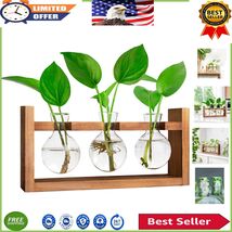 Elegant Desktop Terrarium Propagation Station for Hydroponics - 3 Bulbs ... - $29.69