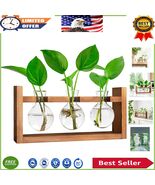 Elegant Desktop Terrarium Propagation Station for Hydroponics - 3 Bulbs ... - $29.69