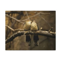 Cuckoo Bird Couple Sitting on a Tree Branch Print Animal Wall Art Wildlife Canv - £57.12 GBP+