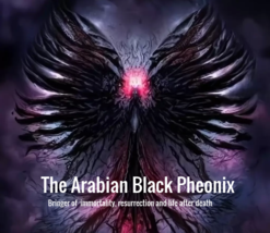 Direct binding of Black Astral Phoenix - Its Your Time To RISE FROM the ASHES - £135.09 GBP