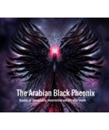 Direct binding of Black Astral Phoenix - Its Your Time To RISE FROM the ... - £135.09 GBP