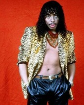 Rick James legendary singer-songwriter bare chested in leopard jacket 8x10 photo - $10.99