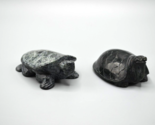 Black Stone Hand Carved Turtle Figurine + Dragon Turtle Chinese Feng Shui - £45.71 GBP