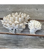 White Natural Coral Heads Coastal Ocean Cauliflower Set of 2 Nautical Decor - $72.00