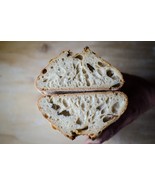 sourdough starter bread yeast starter, San Francisco Original WHARF - $7.76