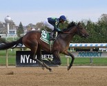 SIERRA LEONE 8X10 PHOTO HORSE RACING PICTURE JOCKEY - £3.96 GBP