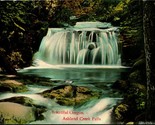 Ashland Creek Falls Waterfall Scene Ashland Oregon OR 1910 Postcard  - $3.91