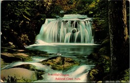 Ashland Creek Falls Waterfall Scene Ashland Oregon OR 1910 Postcard  - £3.07 GBP