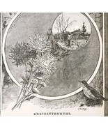 Chrysanthemums Poem Wood Engraving 1889 Victorian Path Of Life Ephemera ... - $42.12 CAD