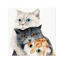 Paw 3-Ply Lunch Napkin 33cm - Better Together - $338.14 MXN