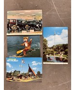 Vintage Florida State Postcards Sea World Fort Myers Timmy Tiger Model T... - €21,12 EUR