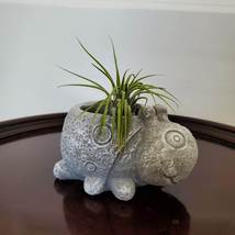 Cement Ladybug Planter with Air Plant, Animal Succulent Planter, Airplant Holder
