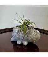 Cement Ladybug Planter with Air Plant, Animal Succulent Planter, Airplan... - £14.38 GBP