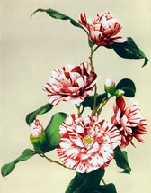 12304.Room Wall Poster.Kazumasa Japanese decor art.Hand-colored photo.Flowers - £13.05 GBP+