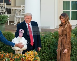 President Donald Trump &amp; Melania Pardoning Thanksgiving Turkey 2019 8X10 Photo - £8.74 GBP