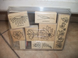 stampin up 6 pice friends are like flowers - £9.29 GBP