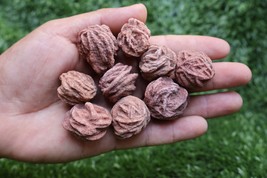 Natural Desert Rose Selenite Crystals – 9pcs Raw Healing Gemstones - $18.81