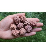 Natural Desert Rose Selenite Crystals – 9pcs Raw Healing Gemstones - $26.48 CAD
